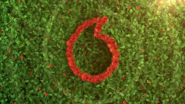 distribuidor-de-Vodafone-en-Madrid-energia-limpia distribuidor de Vodafone en Madrid energia limpia