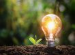 energia-electrica-renovable
