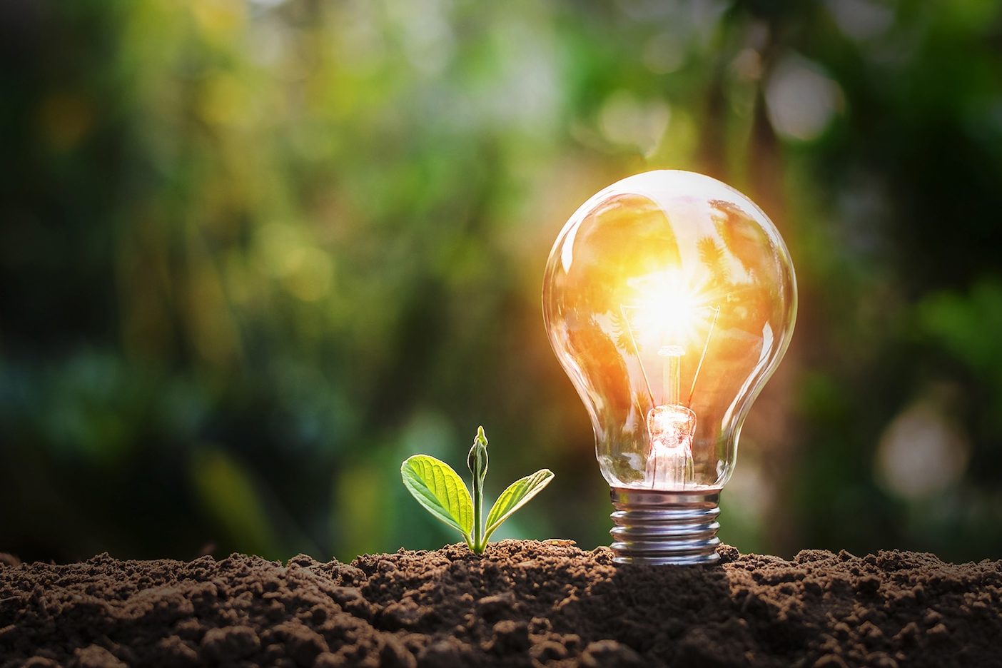 energia-electrica-renovable